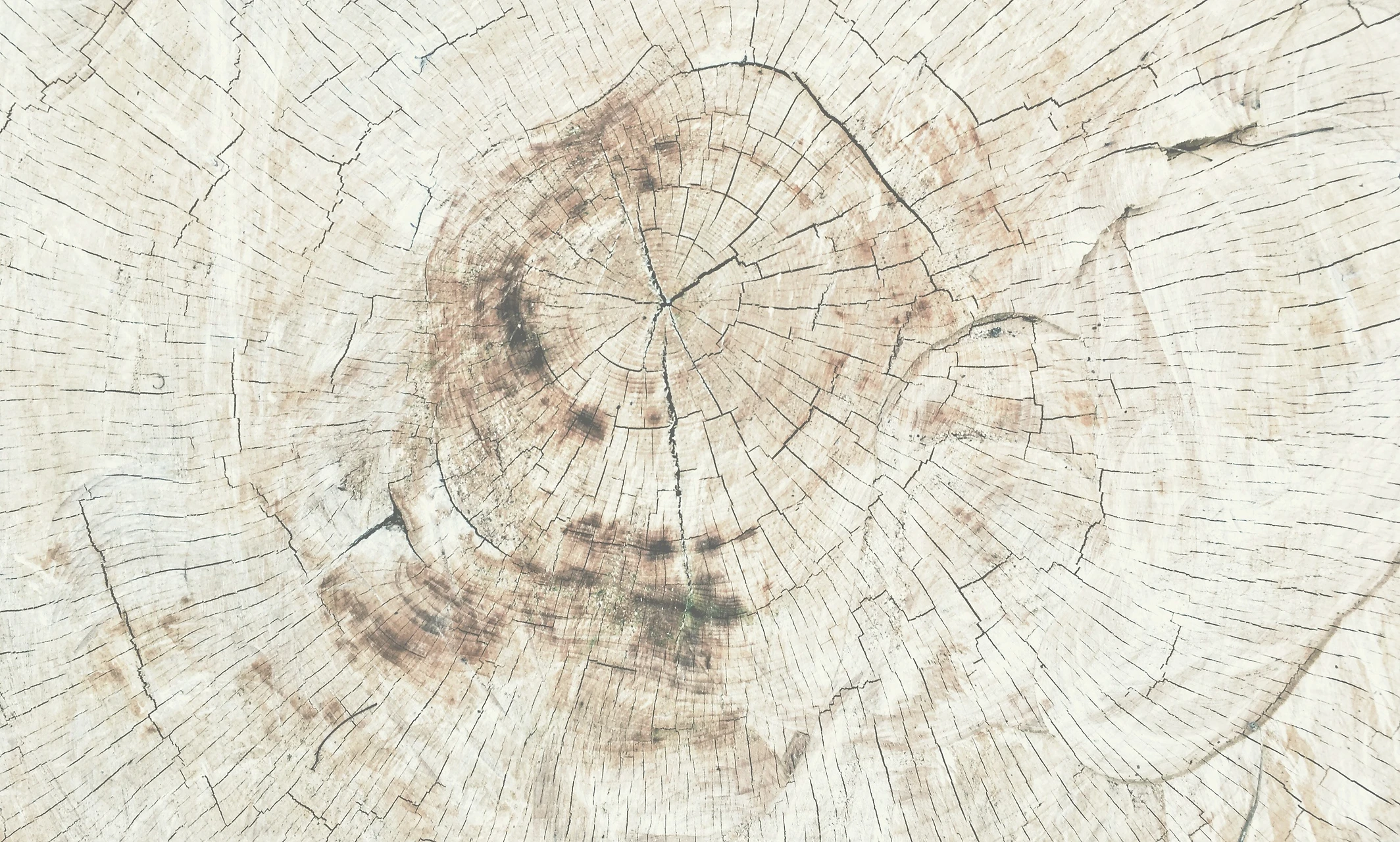 wood background